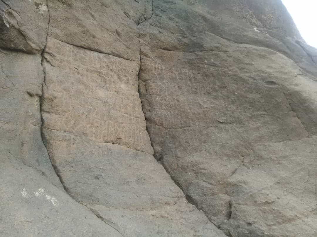 الشرعي الذراع 3